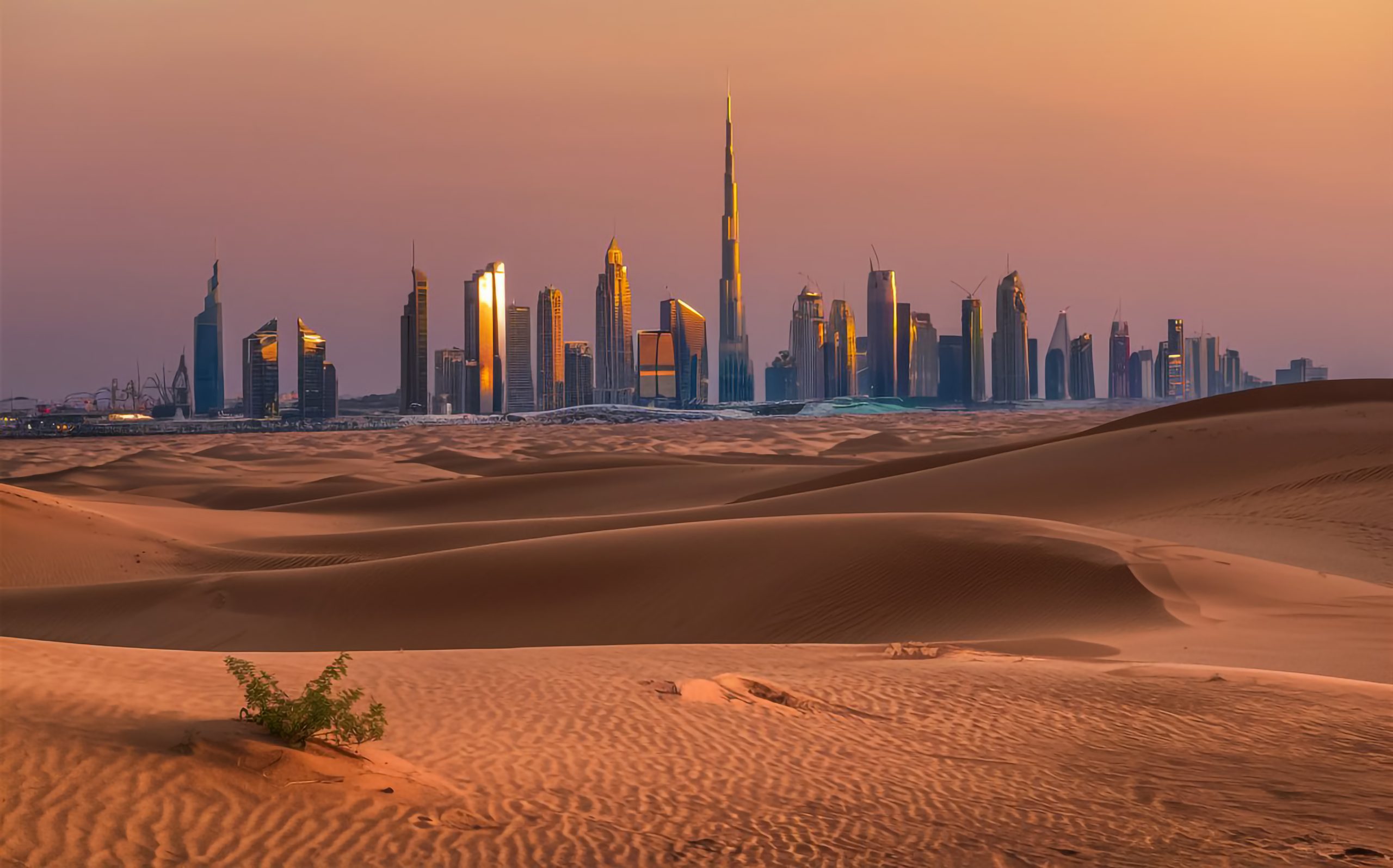 Otvaranje Offshore Kompanije u UAE: Put ka Globalnom Poslovanju