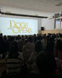 novogodišnji program inđija srem