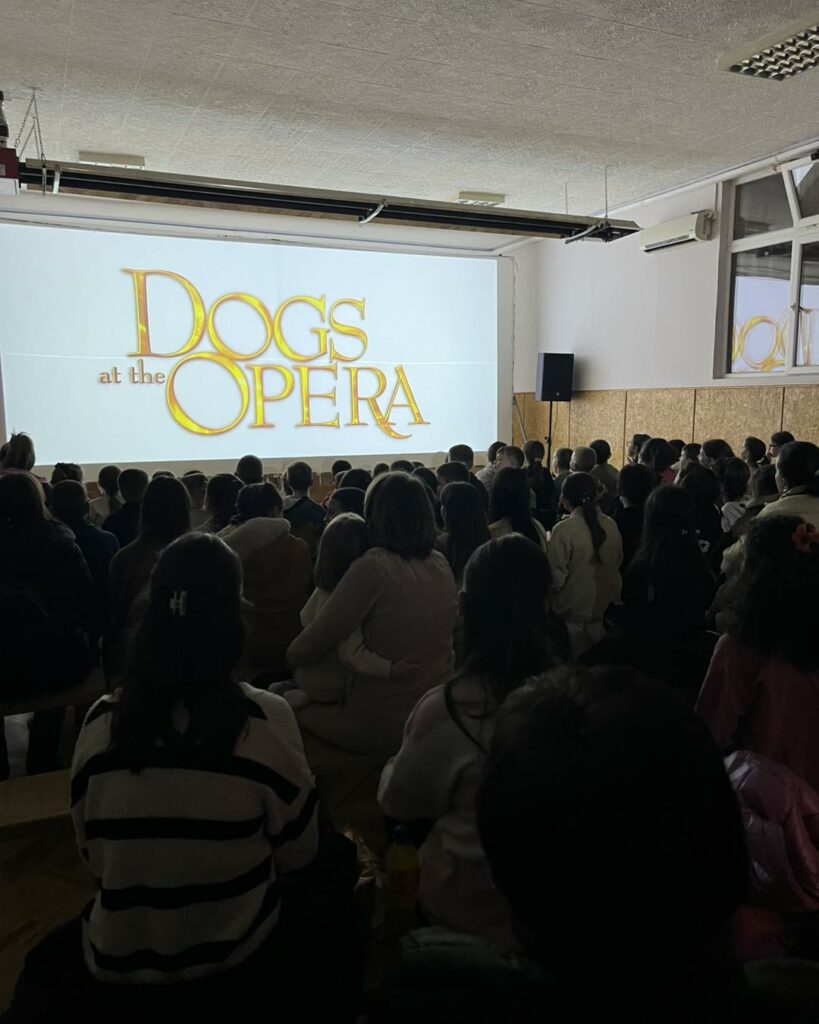 novogodišnji program inđija srem