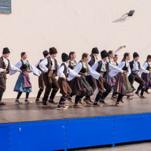 Miholjski Susreti Inđija sela okupljanje folklor narodne igre